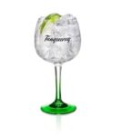COPA DE GIN TANQUERAY