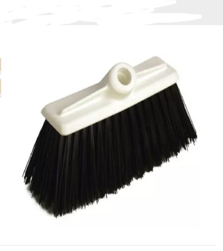 ESCOBILLON BARRENDERO MAPUCHE
