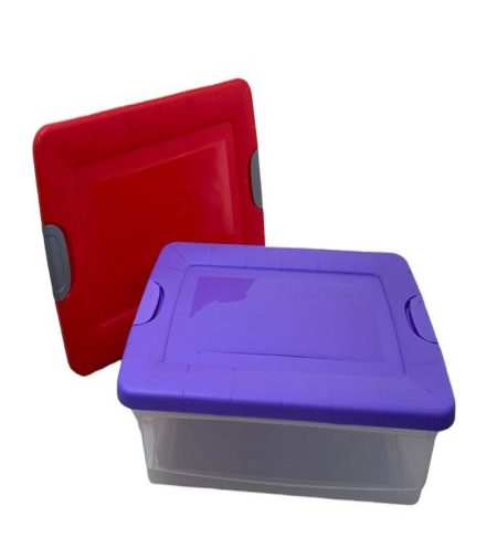 CAJA ORGANIZADORA CON TAPA Y TRABAS 42Lts