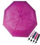 PARAGUA MINI LUNARES